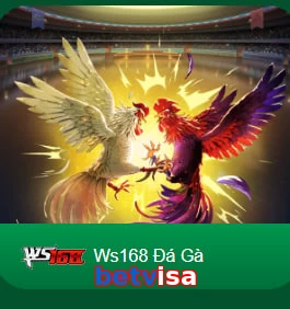 betvisa